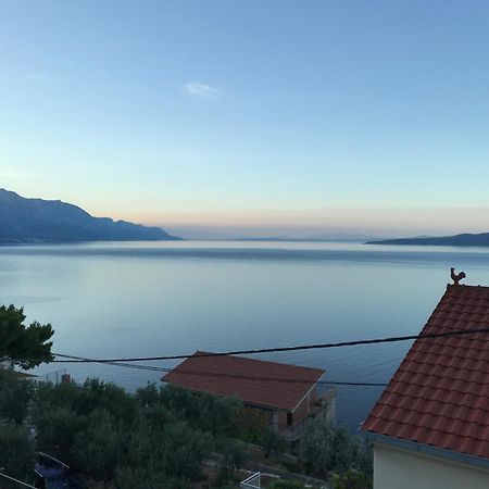 Hostel Dalmatia Marusici  Exterior photo
