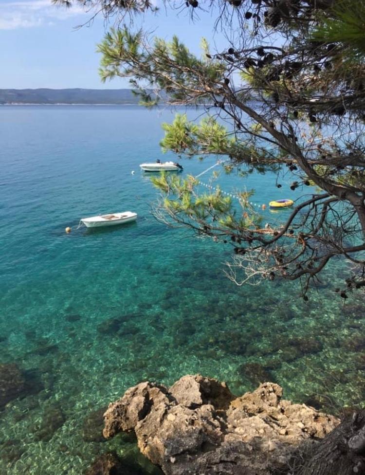 Hostel Dalmatia Marusici  Exterior photo